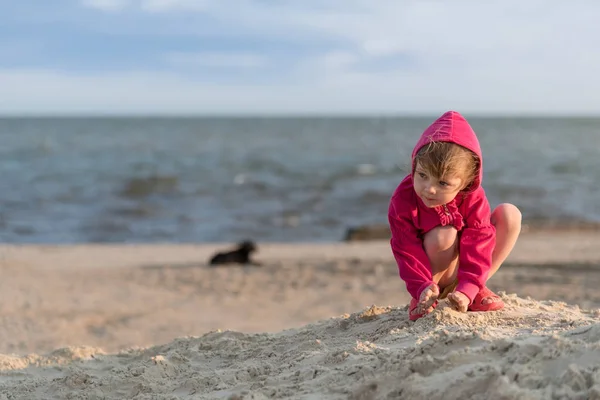 Küçük kız deniz plaj, gün batımı ve küçük kumsalda oynarken esinti ve yaz tatil, çocuk gelişimi, sağlığı geliştirme — Stok fotoğraf