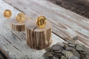 Bitcoin, litecoin ethereum ve eski sikkeler, altın. Cryptocurrency kavramı: büyümek ya da düşmek. Antika ahşap arka plan