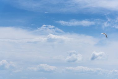 Mavi bulutlu gökyüzü, metin için yer ile gökyüzü arka plan