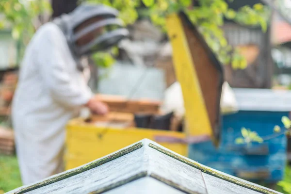 Der Prozess der Honiggewinnung, Hintergrund mit Platz für Text — Stockfoto