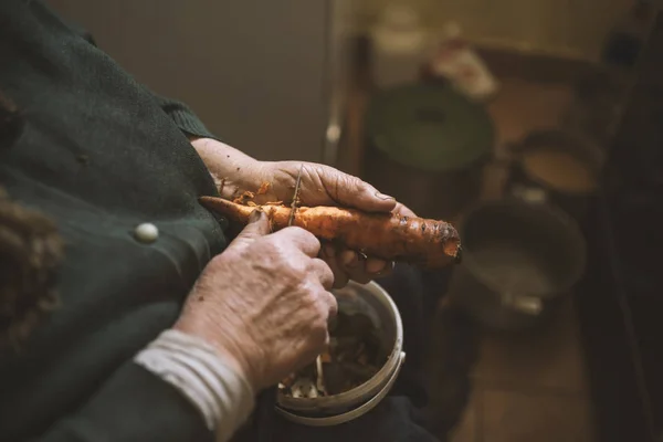 Régi nagymama vágás levágja húzza sárgarépa, főzés, közel — Stock Fotó