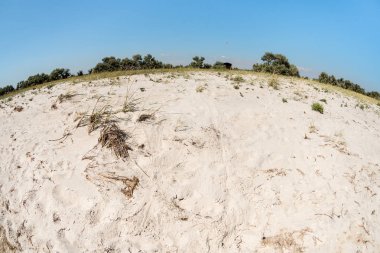Yaz manzara, kumlu kıyı orman şerit içinde belgili tanımlık geçmiş, balık göz etkisi ile geniş açı ile