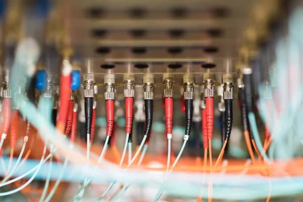 Pannelli patch in fibra ottica con cavi in fibra ottica, apparecchiature di rete ad alta velocità, vista dall'alto — Foto Stock
