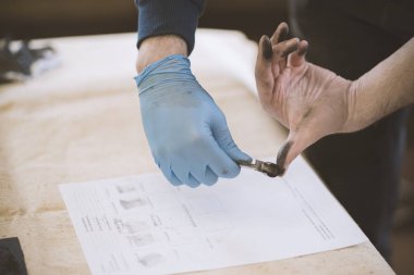 Parmak izi eller örnekleri daha fazla çalışma için alma süreci