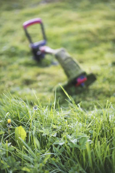 String trimmer lies on mown lawn middle of the yard, copy space for text