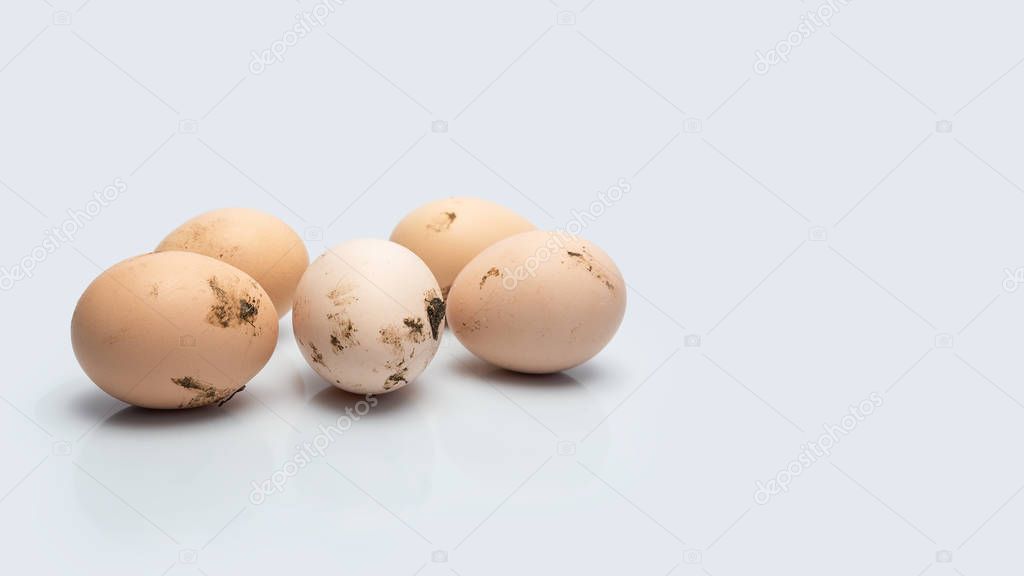 Fresh and dirty chicken eggs on white background with reflection, banner 16x9 format with copy space for text. Homemade healthy food