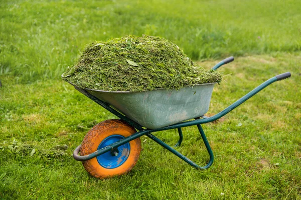 Wheelbarrow full of grass. Garden and lawn care theme. Care services area