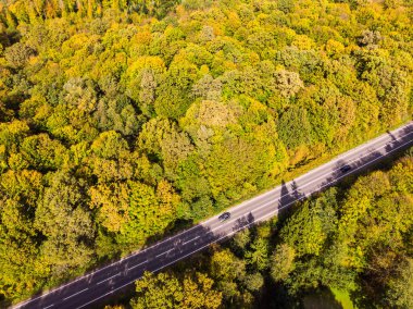 Araçlar yolda ilerliyor. Renkli ormanlar arasındaki otoyolun yukarısında. Hava aracı görüntüsü. Altın Sonbahar. Seyahat ve araba kiralama teması
