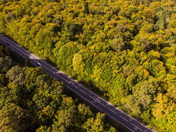 Автомобілі рухаються по дорозі між барвистими осінніми лісами. Вид на повітряний безпілотник. Тема подорожей та оренди автомобілів — стокове фото