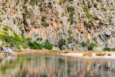 Vadide bir nehri olan güzel kayalık dağlar, vahşi yaşam manzarası, yaz. Mallorca 'da Doğa, Balear Adaları, İspanya. Kayalık dağlar arasında Torrent de Pareis Nehri