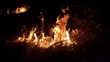 Ateş alevleri. Tarlada kuru otlar yanıyor, gece. Ağır çekim. Kundaklama, felaket ve acil durum teması, bitki örtüsü ve hayvanlar üzerinde olumsuz etki. İyi geceler.