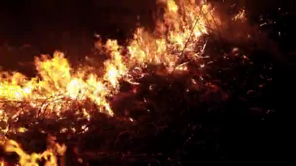 Podpalenie Suchej Trawy Polu Pożar Strzał Ciemno Nagranie Temat Podpaleń — Wideo stockowe