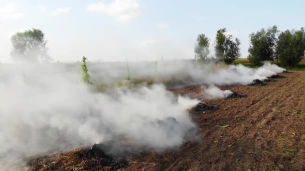 杂草在田里吸烟 关于大气污染 生态和人类活动对自然和环境的不利影响的主题 Drone 4K电影胶片 — 图库视频影像