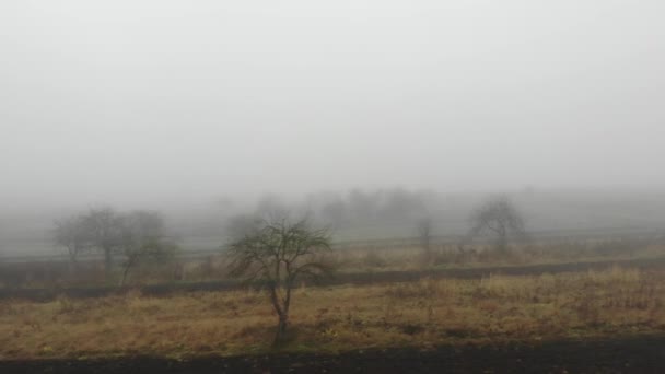 Niebla Envuelve Terreno Día Brumoso Condiciones Meteorológicas Temporada Naturaleza Otoño — Vídeo de stock