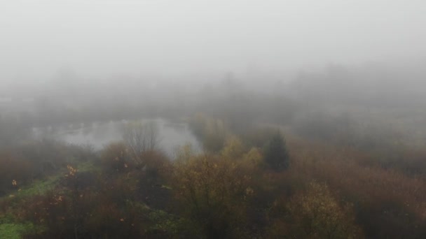 Podzimní Mlhavý Den Hazi Terén Obklopuje Mlha Počasí Sezóna Příroda — Stock video