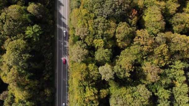 Vuelo Aéreo Por Encima Carretera Entre Bosques Coloridos Vehículos Moviéndose — Vídeo de stock