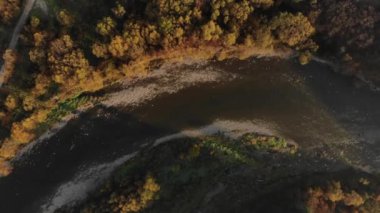 Kuş bakışı dağ nehri ve renkli ağaçlar, üst manzara. Altın Sonbahar. Hava Aracı 4K sinematik çekim, yukarıdan çekim