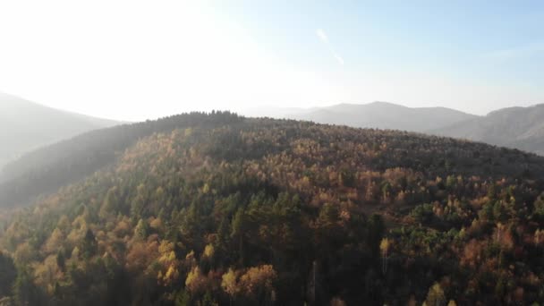 Alba Montagna Caduta Oro Veduta Aerea Drone Panoramico Paesaggio Autunnale — Video Stock