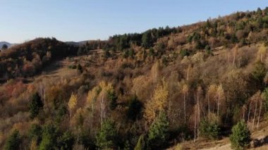 Karpatlar 'da Altın Sonbahar, Doğu Beskids, Ukrayna. Doğa hakkında hikayeler. Hava aracı görünümü, yankı yap