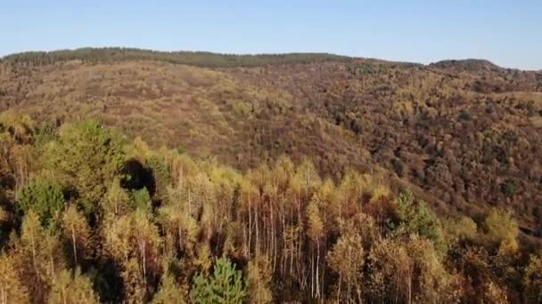 Vliegen Boven Kleurrijke Bos Bergen Helling Dal Luchtdrone View Inzoomen — Stockvideo