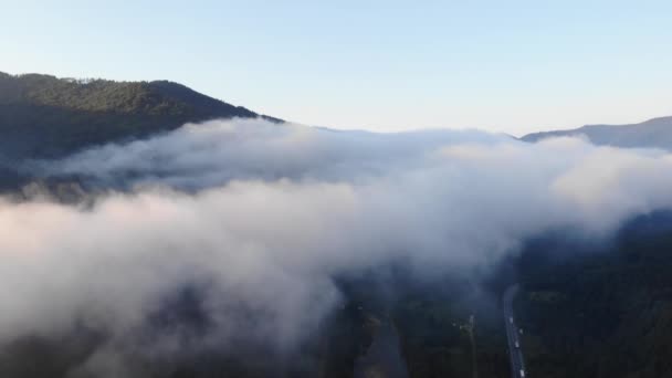 Утренний Туман Над Лесом Горами Воздушный Беспилотный Пейзаж Природы Транспортные — стоковое видео
