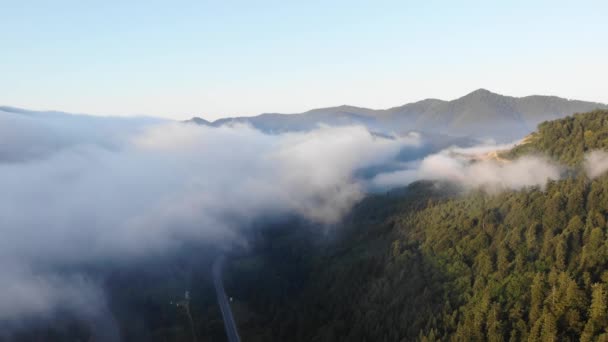 Pájaros Vista Las Montañas Brumosas Paisaje Amanecer Niebla Matutina Extiende — Vídeo de stock