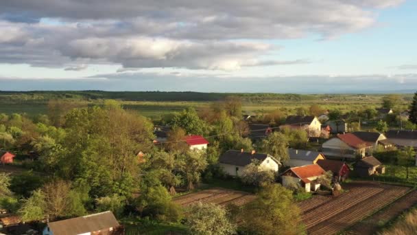 Cabanas Terrenos Cultivados Árvores Verdes Vista Aérea Drone Tradicional Aldeia — Vídeo de Stock