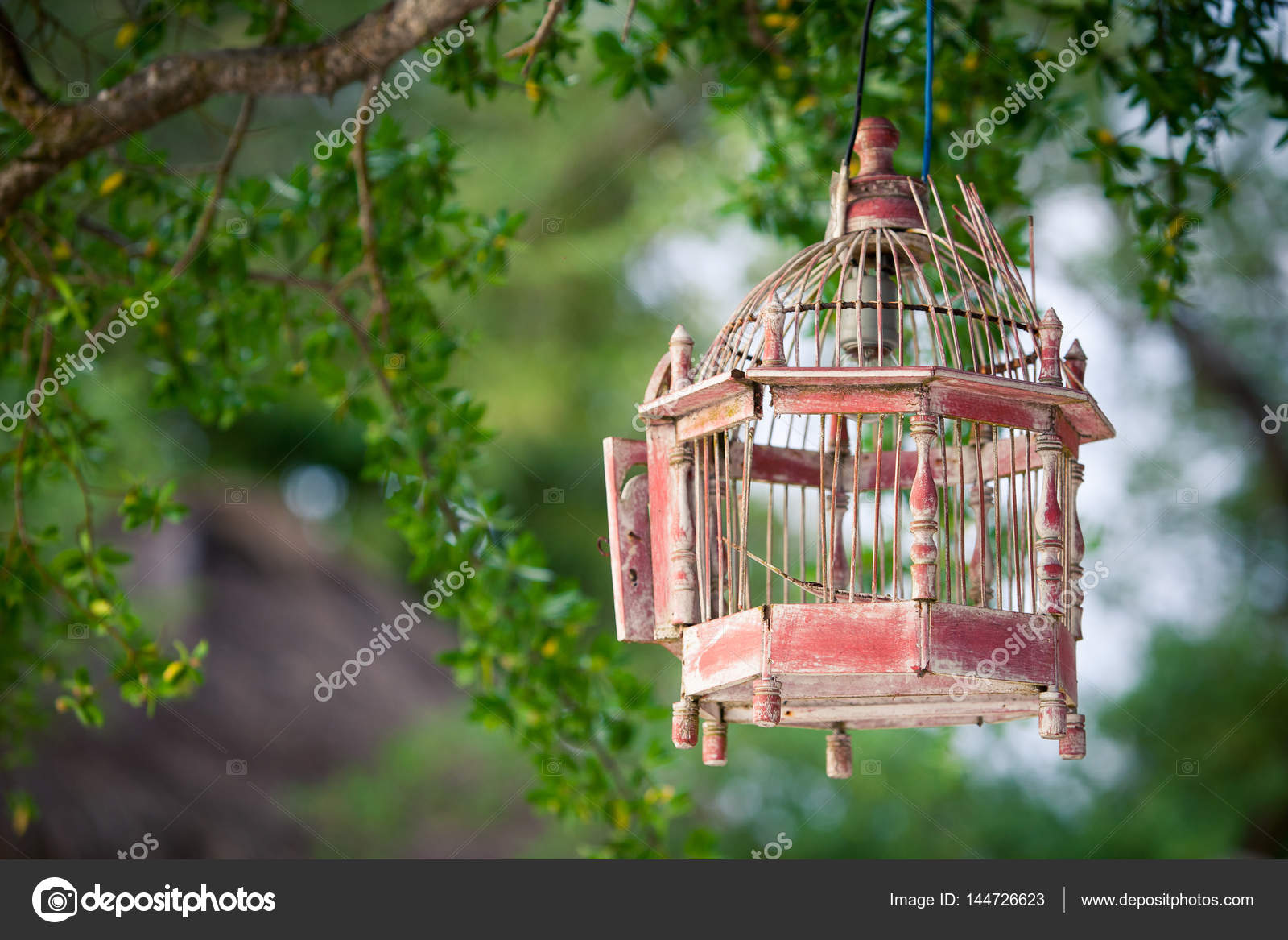 Lanternes Suspendus Dans Les Arbres Pour Décorer à La Cage à