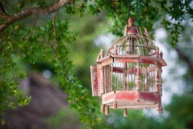 Günbatımı kuş kafesi süslemek için ağaçlara asılı fenerler