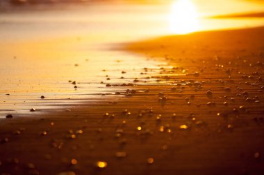 Batan güneşin ışınları plaj portre