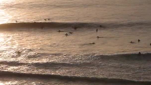 Surfers na falach wieczorem zachód słońca widok z lotu ptaka — Wideo stockowe