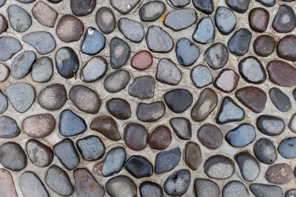 Pavimento de pedras redondas fundo — Fotografia de Stock