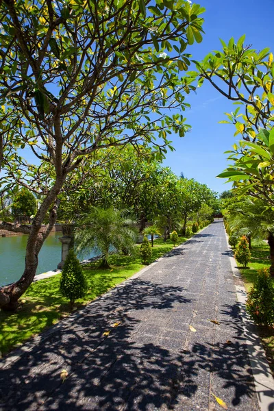 Un camino de piedra en un parque exótico en los trópicos — Foto de Stock