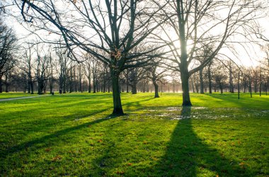Bahar Park güneşli bir sabah