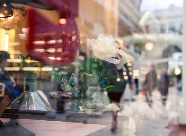 Магазинне вікно з відображенням і білою трояндою — стокове фото