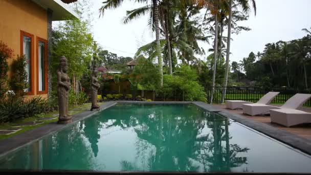 Het zwembad en ligstoelen in de Villa op de achtergrond van palmbomen — Stockvideo