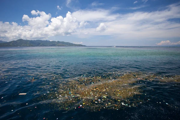 Sea with floating trash, nature and environment