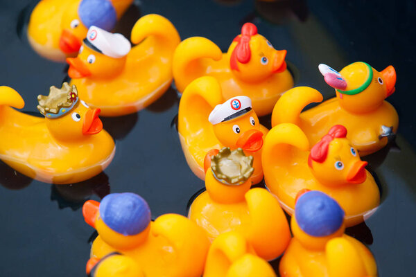 Yellow rubber ducks in the kiddie pool