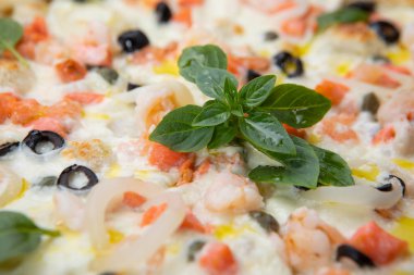 Close-up seafood pizza with various ingredients decorated with Basil