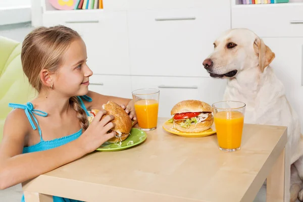 Kleines Mädchen behandelt ihren pelzigen Freund mit einem Snack — Stockfoto