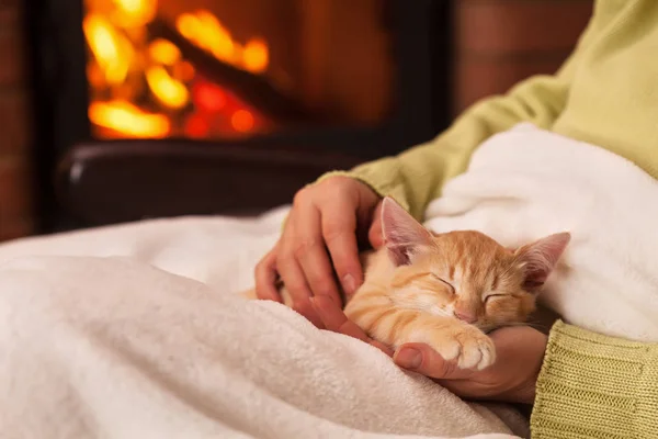 Woman hands holding sleeping ginger kitten in front of fireplace — Stock Photo, Image