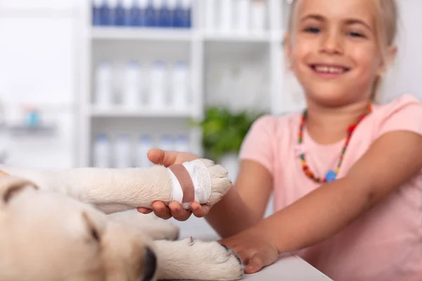 Niña con su perro cachorro en el consultorio del médico veterinario — Foto de Stock