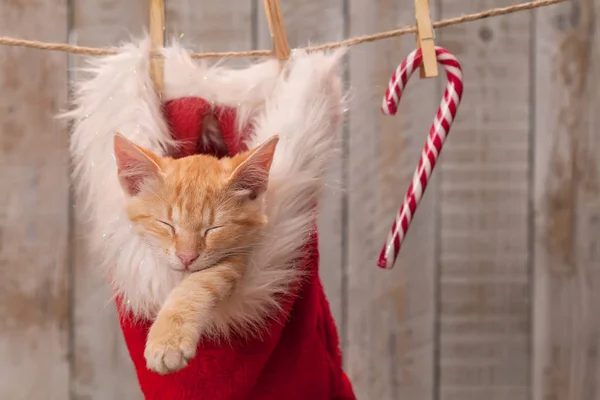 Милый рыжий котенок спит в шапке Санты среди рождественских украшений — стоковое фото