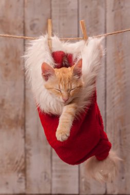 Genç kızıl kedi Noel Baba şapkasında dinleniyor ve ipte sallanıyor.