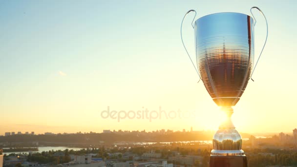 Copa trofeo líder de la victoria con copos de sol — Vídeo de stock
