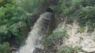 Ecocatastrophe. Bitki kanalizasyon su