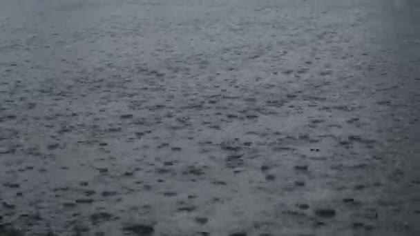 Starkregen fällt auf die Straße — Stockvideo
