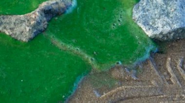 Yeşil toz nehir suyu