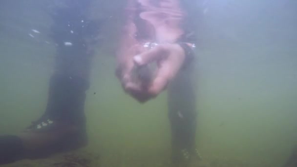 Catch and release fish underwater — Stock Video