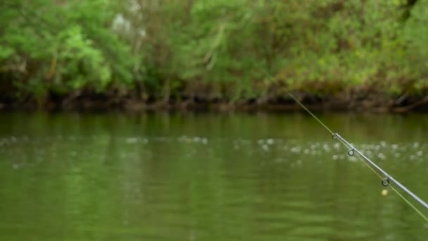 Brisement de la ligne de pêche — Video